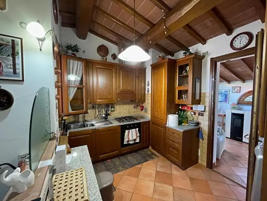 Immagine 4 di Villa in vendita  a Vecchiano