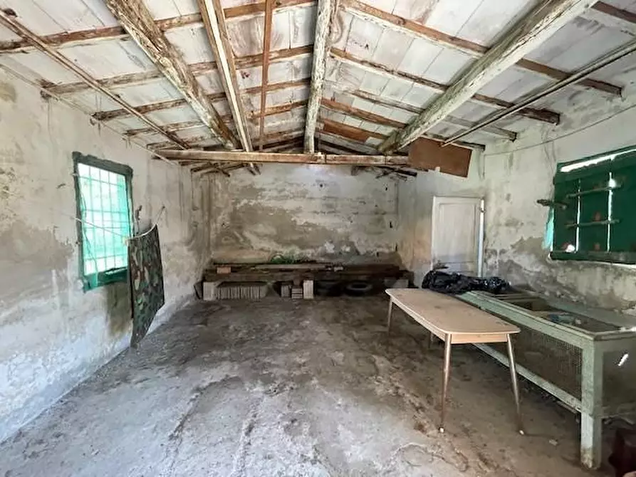 Immagine 11 di Terratetto in vendita  a San Giuliano Terme