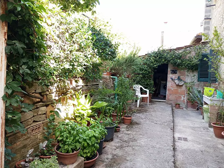 Immagine 33 di Casa indipendente in vendita  a Montaione