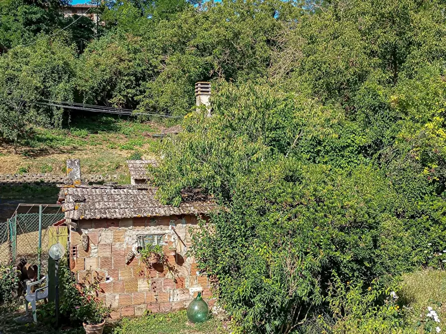 Immagine 21 di Casa indipendente in vendita  a Montaione