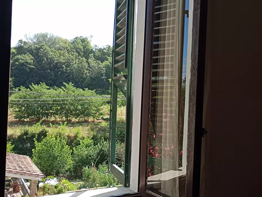 Immagine 21 di Casa indipendente in vendita  a Montaione