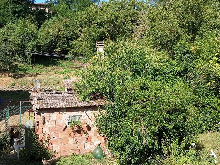 Immagine 35 di Casa indipendente in vendita  a Montaione