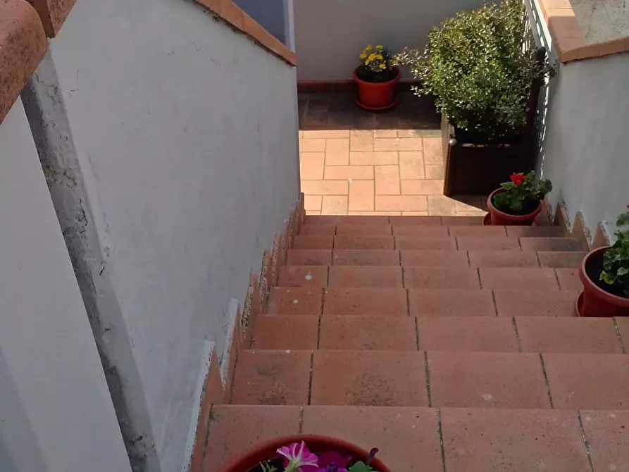 Immagine 22 di Appartamento in vendita  a Collesalvetti