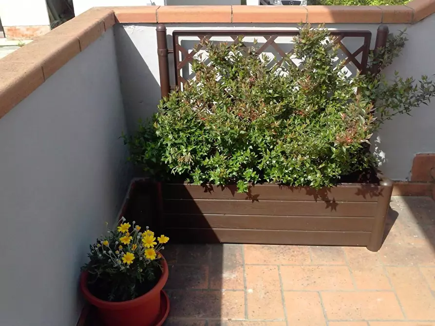 Immagine 23 di Appartamento in vendita  a Collesalvetti