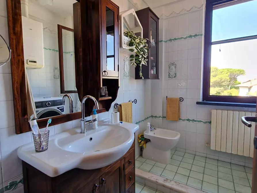 Immagine 20 di Appartamento in vendita  a Collesalvetti