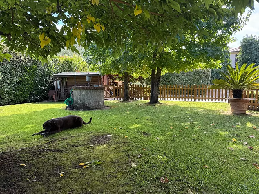 Immagine 22 di Casa bifamiliare in vendita  a Calci