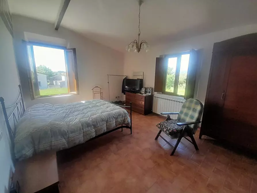 Immagine 6 di Terratetto in vendita  a Vecchiano