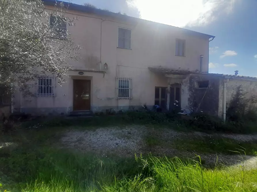 Immagine 16 di Terratetto in vendita  a Vecchiano