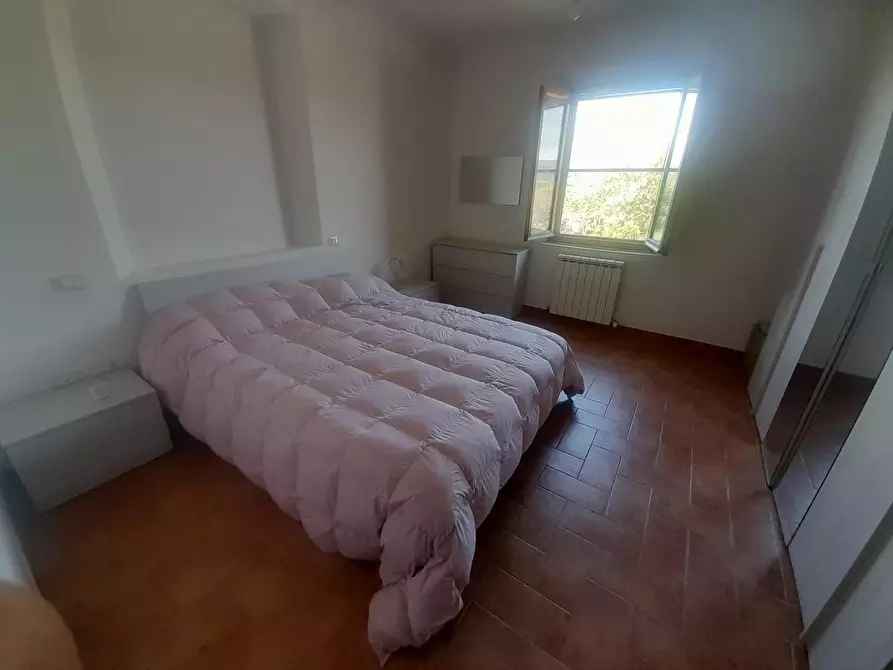 Immagine 3 di Terratetto in vendita  a Vecchiano