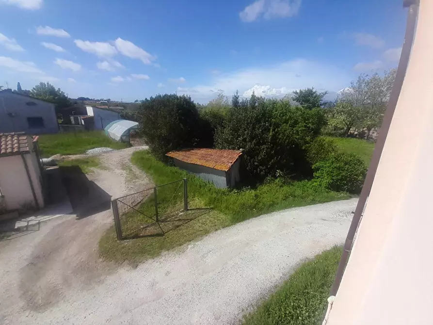 Immagine 9 di Terratetto in vendita  a Vecchiano