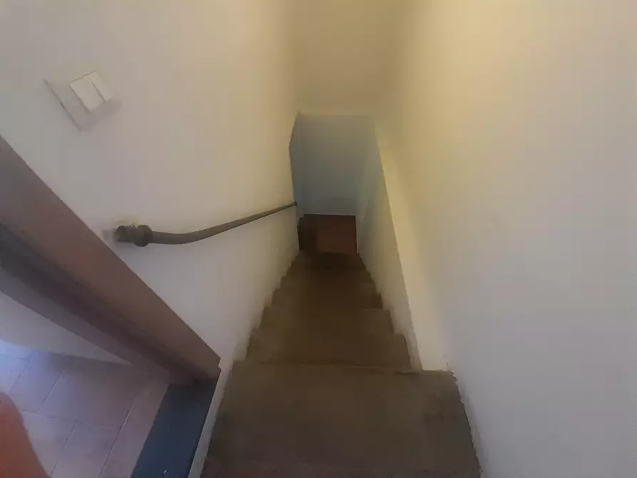 Immagine 8 di Terratetto in vendita  a Vecchiano