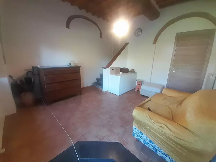 Immagine 13 di Terratetto in vendita  a Vecchiano