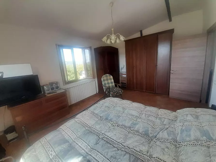 Immagine 7 di Terratetto in vendita  a Vecchiano