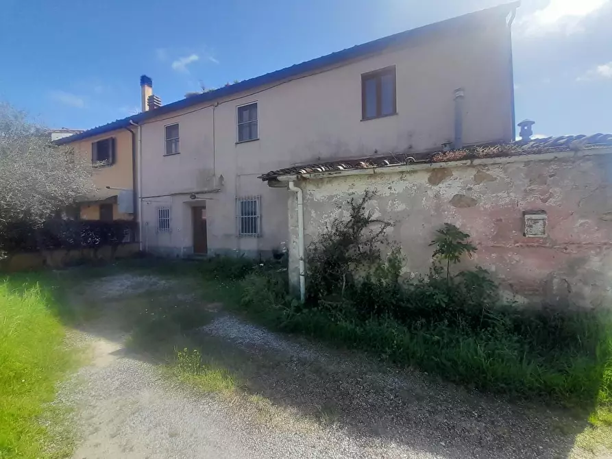 Immagine 15 di Terratetto in vendita  a Vecchiano