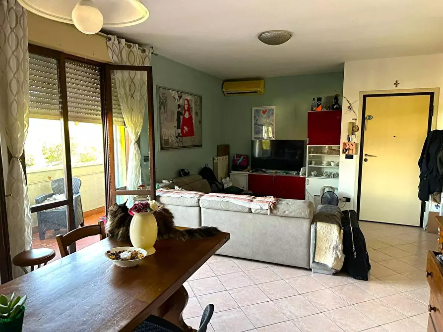 Immagine 15 di Appartamento in vendita  a Capannori