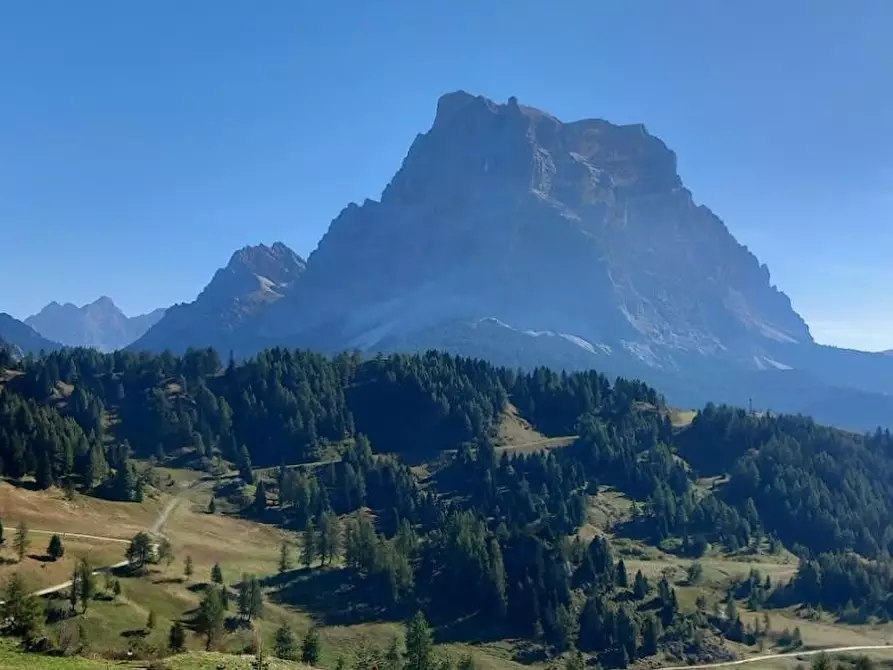 Immagine 28 di Terratetto in vendita  a Ortonovo