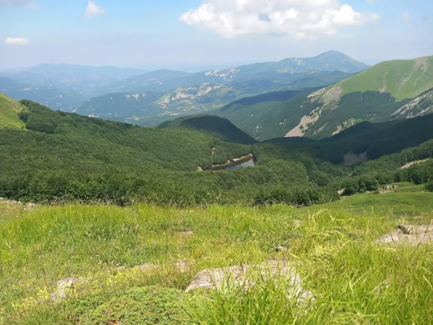Immagine 8 di Terratetto in vendita  a Ortonovo