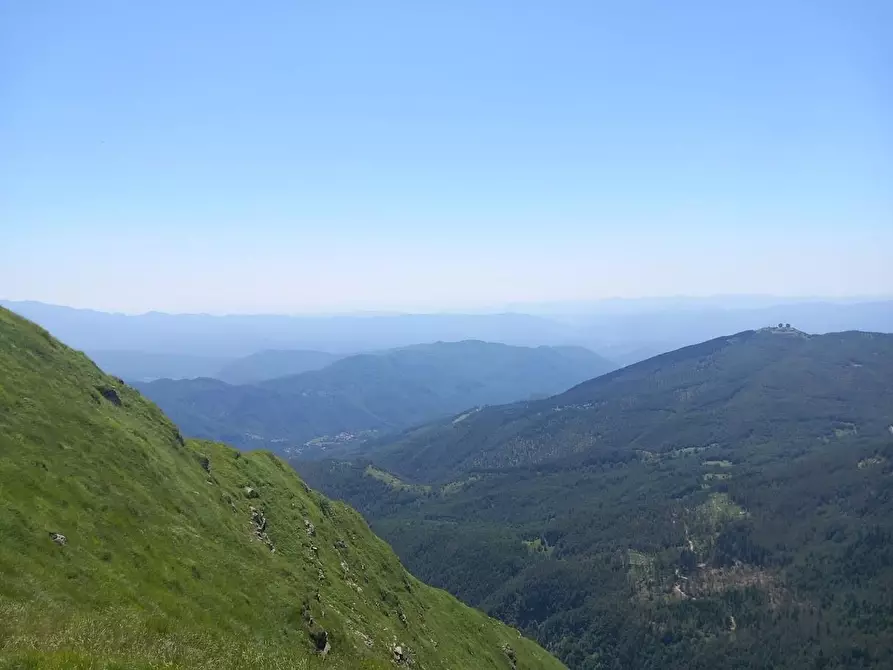 Immagine 7 di Terratetto in vendita  a Ortonovo