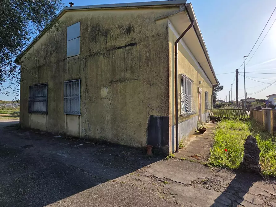 Immagine 7 di Casa indipendente in vendita  a Viareggio