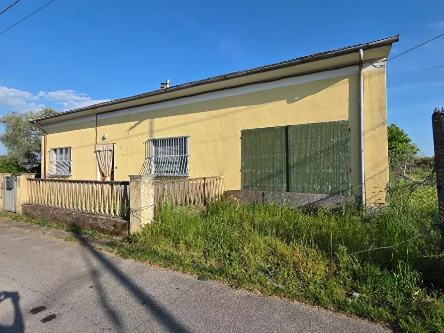 Immagine 5 di Casa indipendente in vendita  a Viareggio