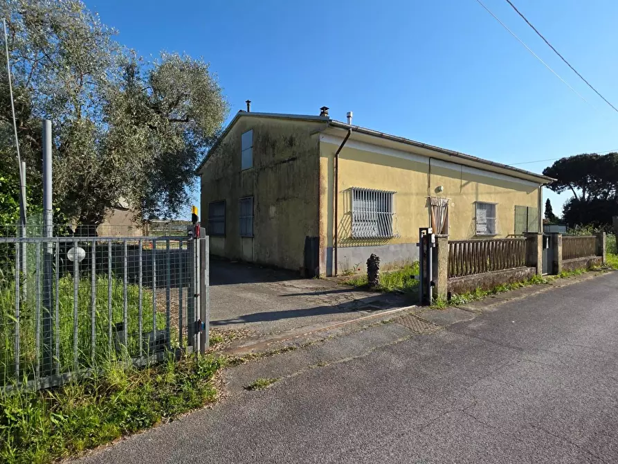 Immagine 1 di Casa indipendente in vendita  a Viareggio