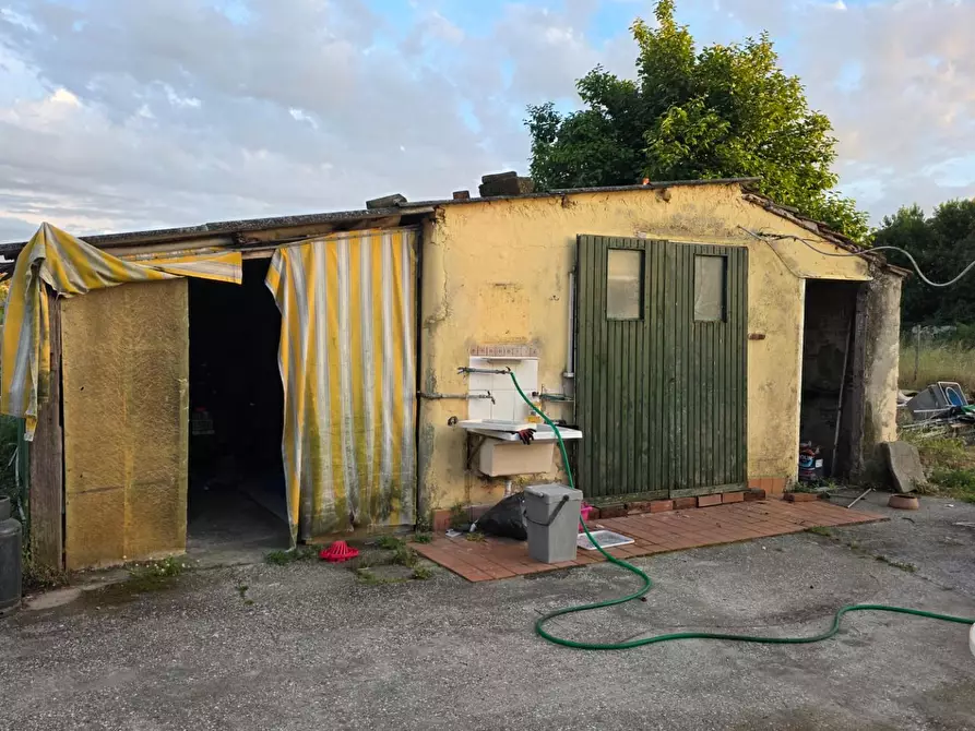 Immagine 9 di Casa indipendente in vendita  a Viareggio