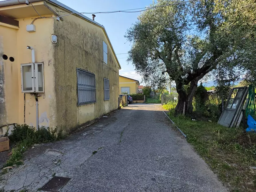 Immagine 11 di Casa indipendente in vendita  a Viareggio