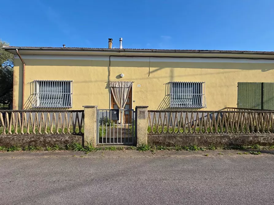 Immagine 3 di Casa indipendente in vendita  a Viareggio