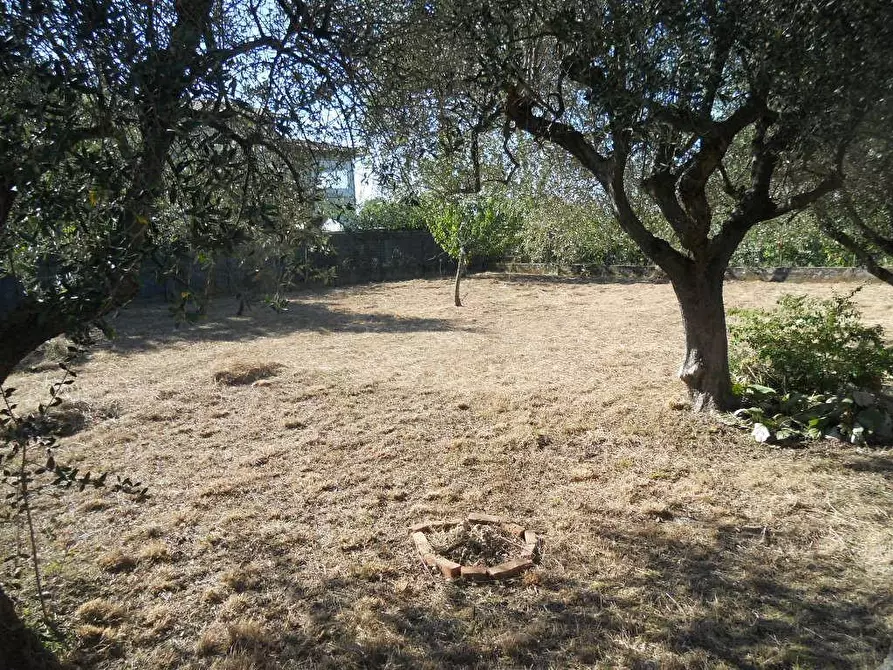 Immagine 5 di Villa in vendita  a Ortonovo