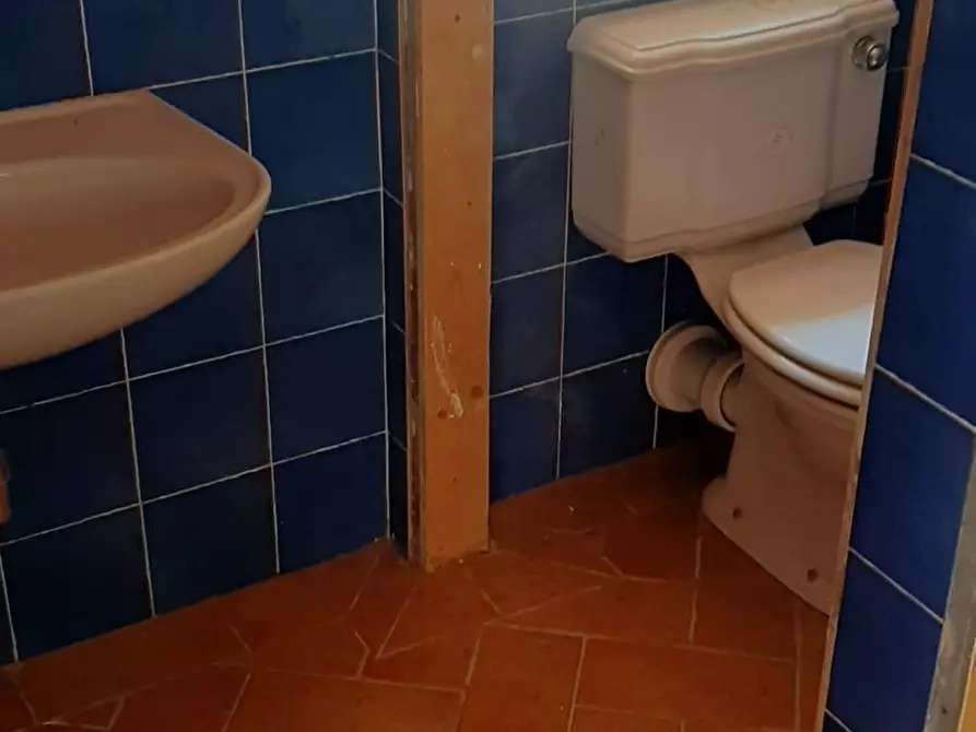 Immagine 11 di Terratetto in affitto  a Vicopisano