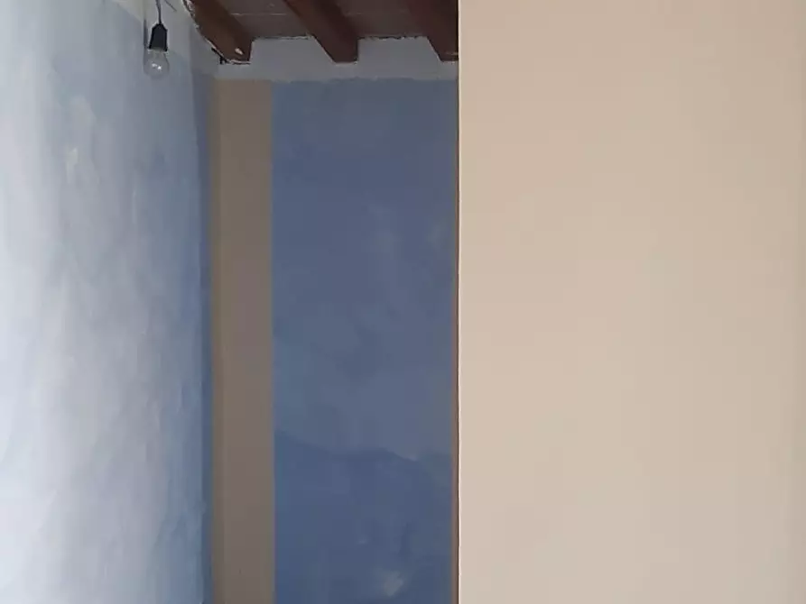 Immagine 10 di Terratetto in affitto  a Vicopisano