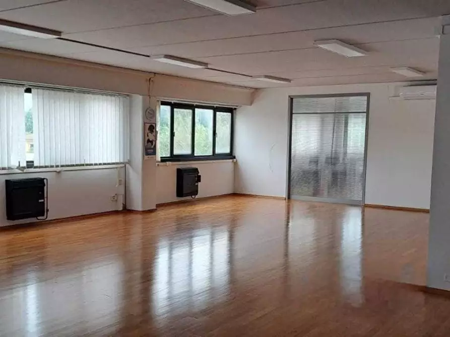 Immagine 1 di Attività artigianale in vendita  a Viareggio