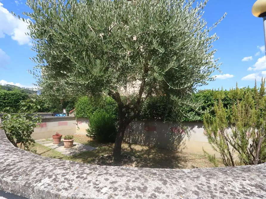 Immagine 29 di Appartamento in vendita  a Buti