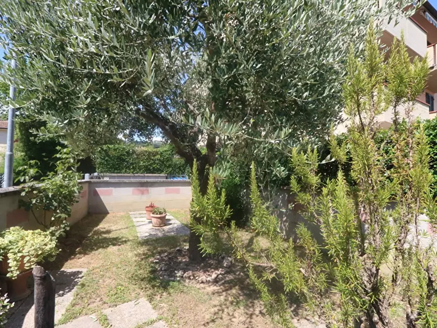 Immagine 28 di Appartamento in vendita  a Buti