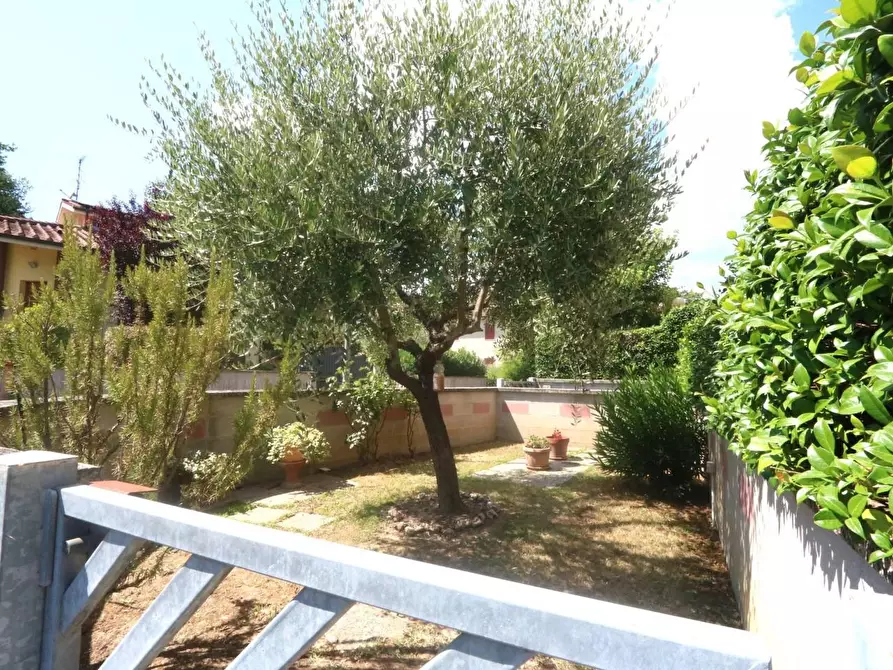 Immagine 27 di Appartamento in vendita  a Buti