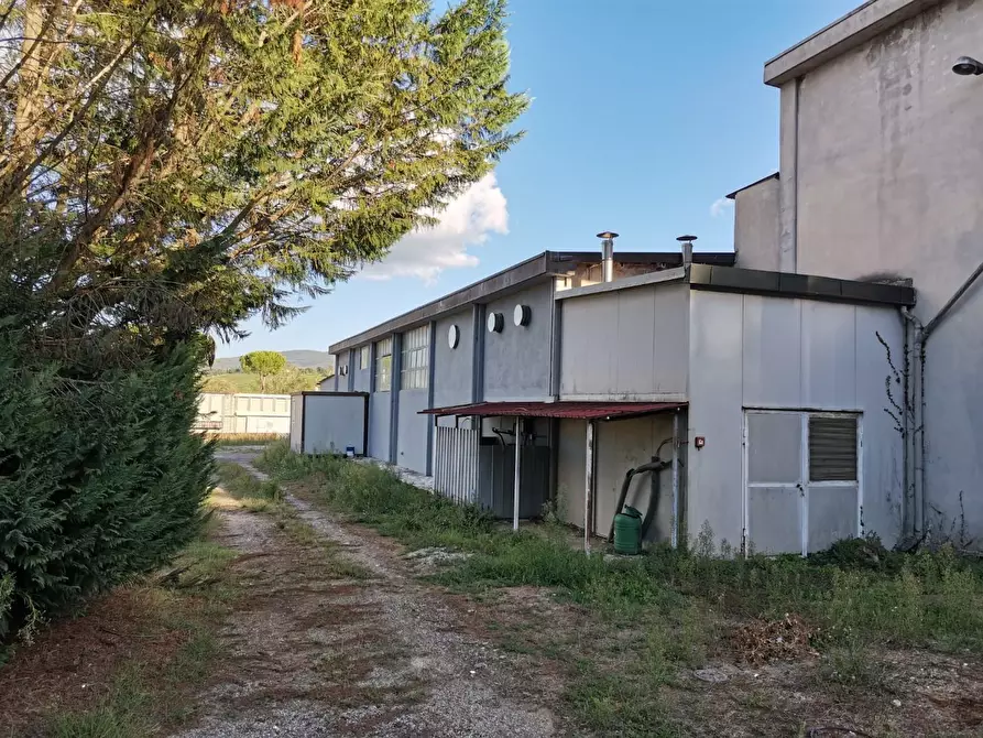 Immagine 7 di Attività artigianale in vendita  a Colle Di Val D'elsa