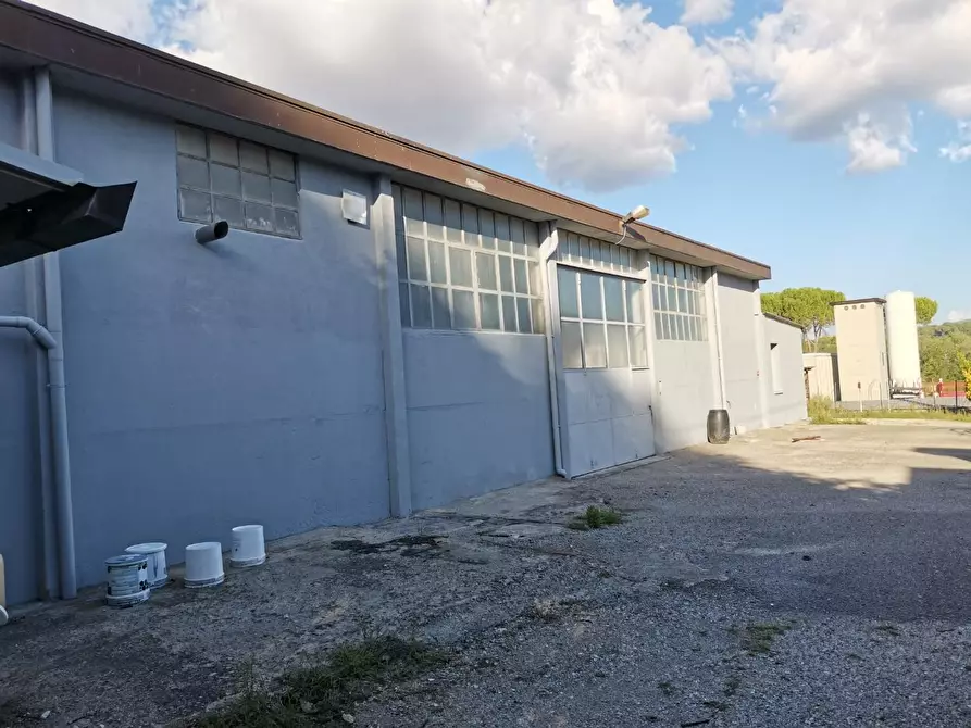 Immagine 5 di Attività artigianale in vendita  a Colle Di Val D'elsa