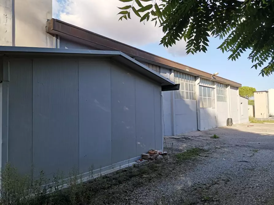 Immagine 3 di Attività artigianale in vendita  a Colle Di Val D'elsa