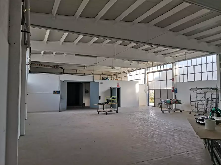 Immagine 11 di Attività artigianale in vendita  a Colle Di Val D'elsa