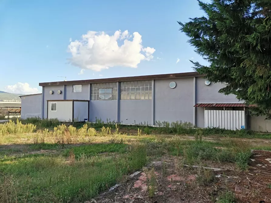 Immagine 9 di Attività artigianale in vendita  a Colle Di Val D'elsa