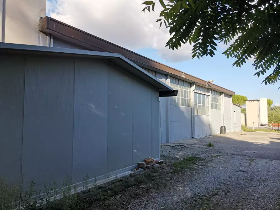 Immagine 1 di Attività artigianale in vendita  a Colle Di Val D'elsa