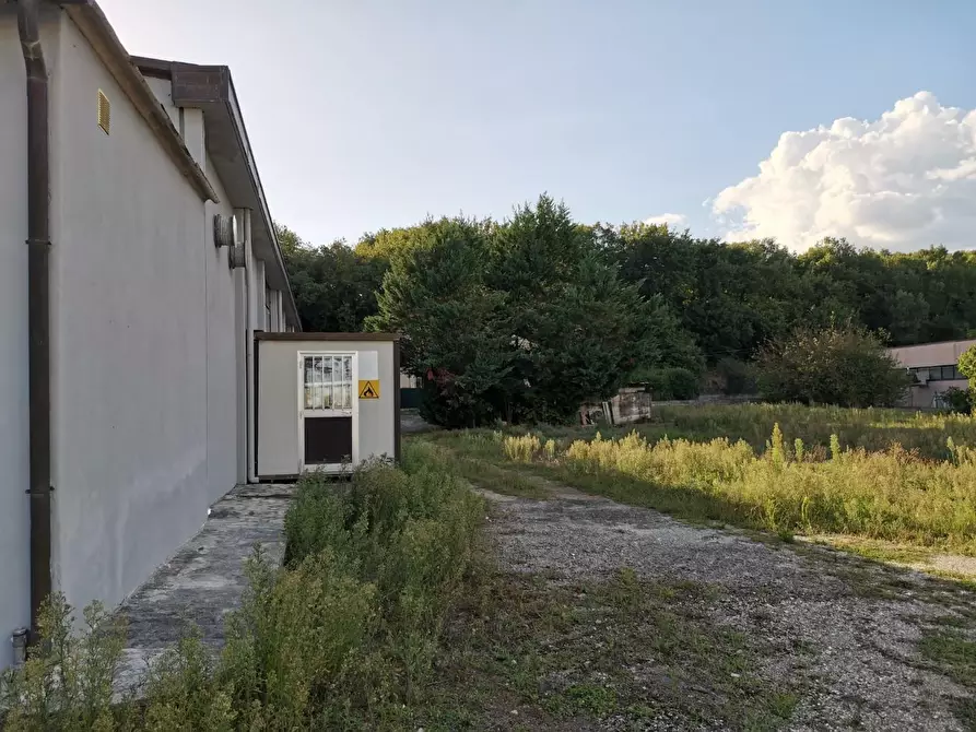 Immagine 20 di Attività artigianale in vendita  a Colle Di Val D'elsa