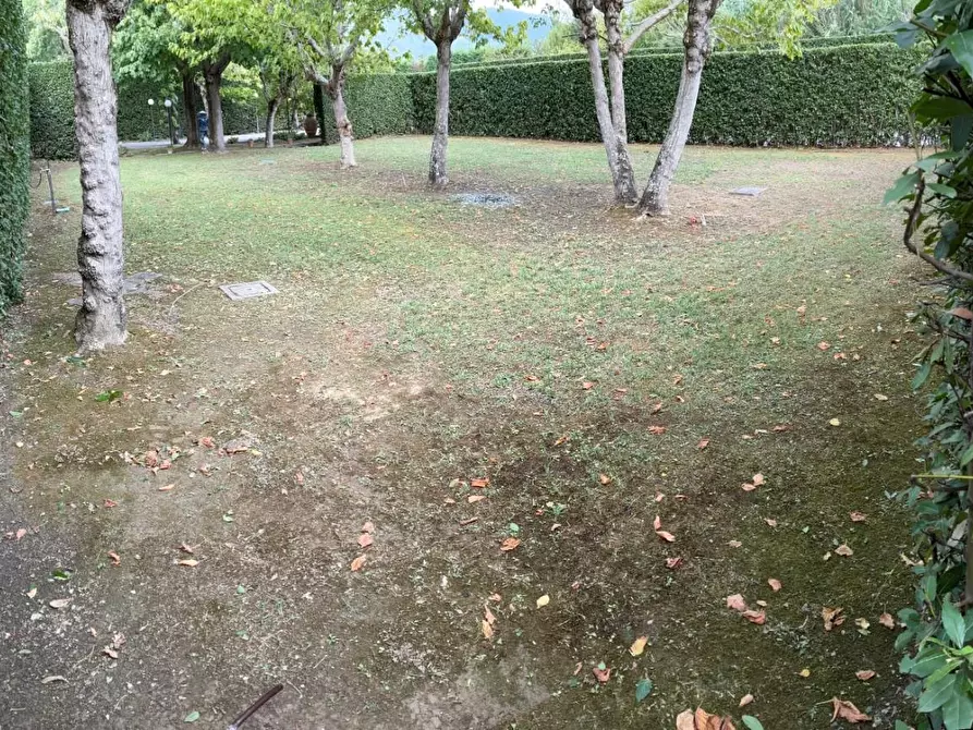 Immagine 18 di Appartamento in affitto  a San Giuliano Terme