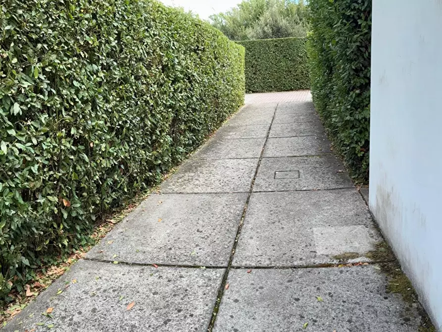 Immagine 19 di Appartamento in affitto  a San Giuliano Terme