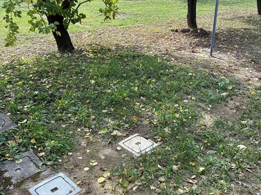 Immagine 1 di Appartamento in affitto  a San Giuliano Terme