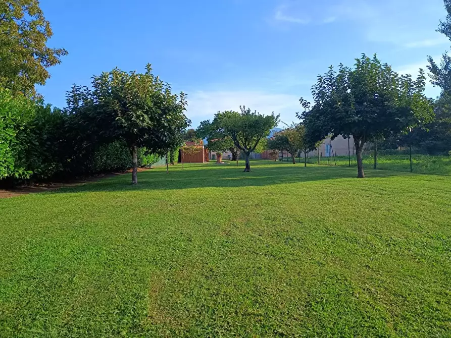 Immagine 72 di Villa in vendita  a Capannori