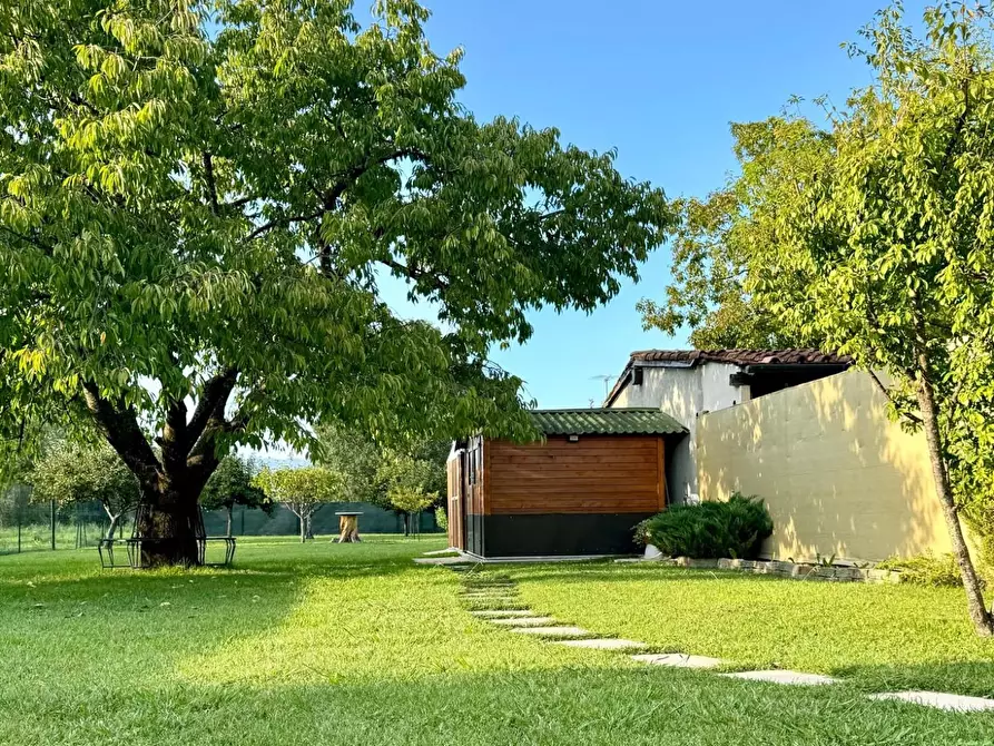 Immagine 18 di Villa in vendita  a Capannori