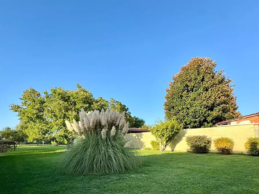 Immagine 65 di Villa in vendita  a Capannori