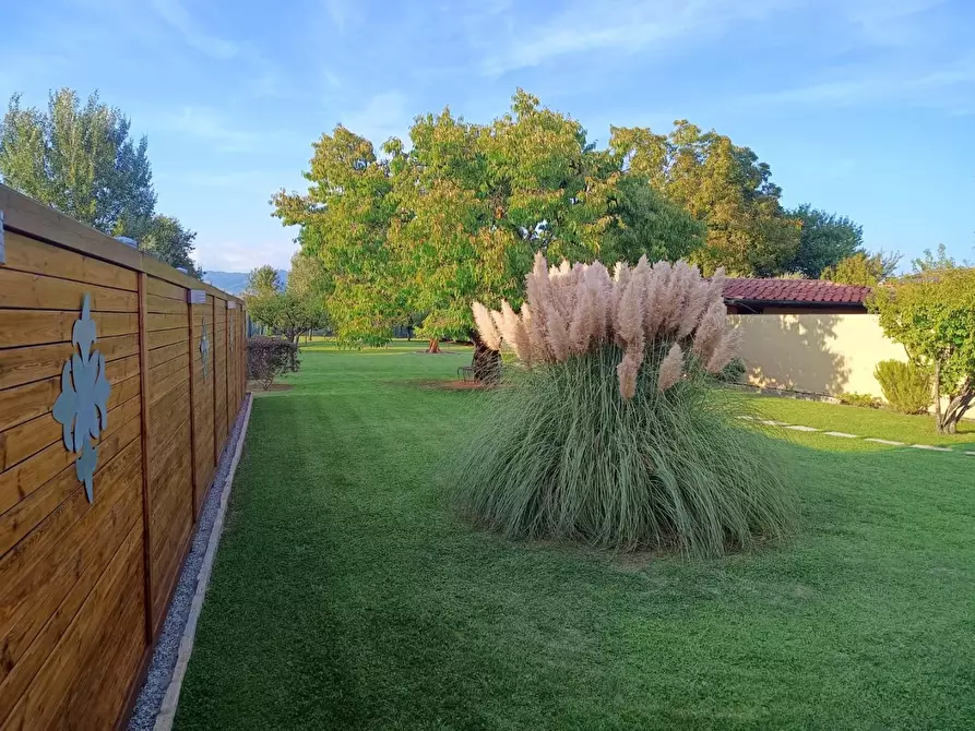 Immagine 37 di Villa in vendita  a Capannori