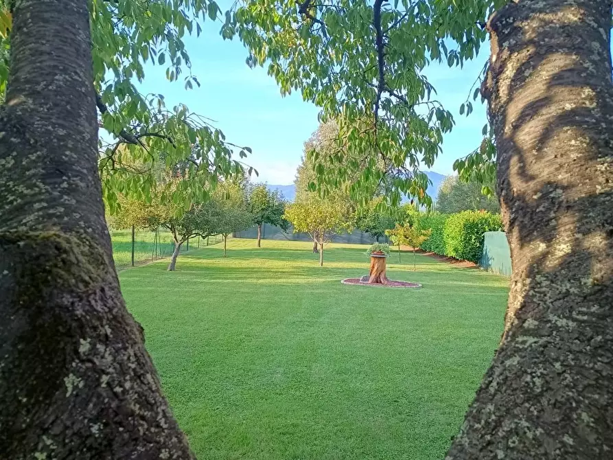 Immagine 28 di Villa in vendita  a Capannori